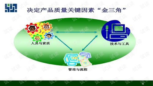 軟件外包服務(wù)中的質(zhì)量問(wèn)題 成因、挑戰(zhàn)與應(yīng)對(duì)策略